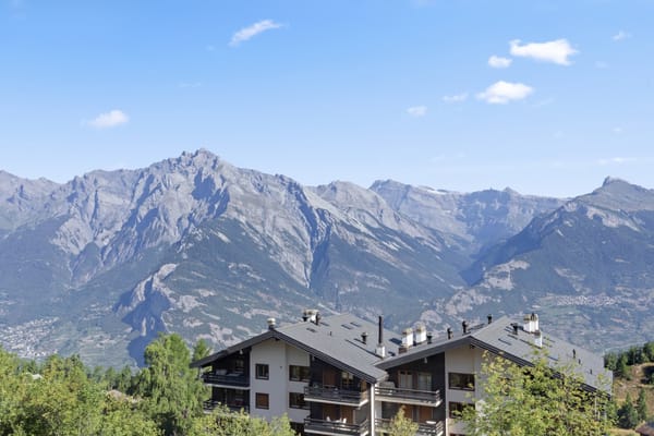 Taupinière à Nendaz