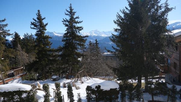 Sorecrans 4 — photo 4