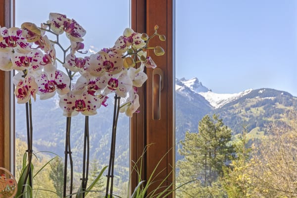 Chalet Valérie — photo 3